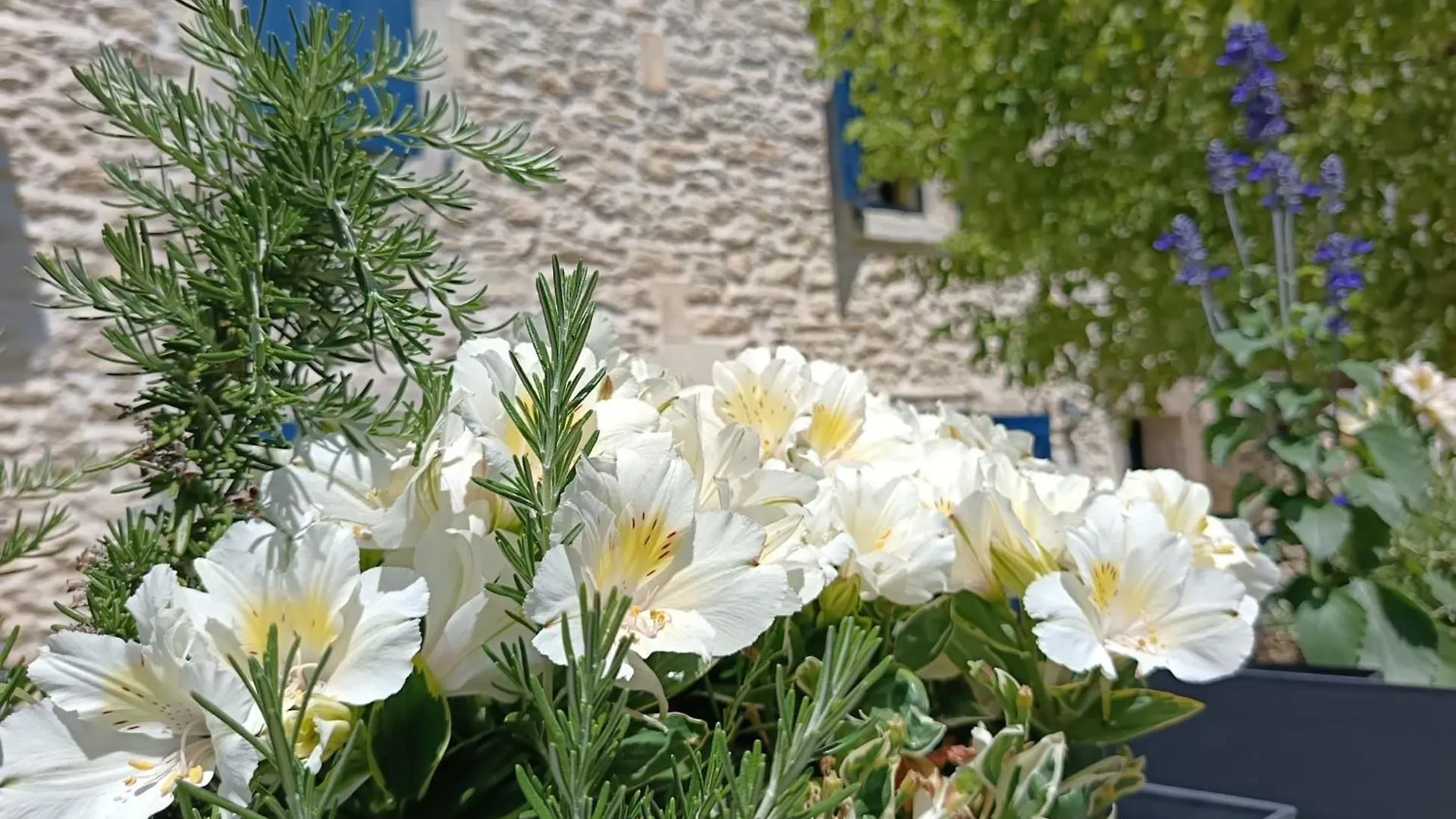 Namaste Home, Votre Havre De Paix A St Remy ! Parking Wifi Inclus Saint-Rémy-de-Provence 0*,  France